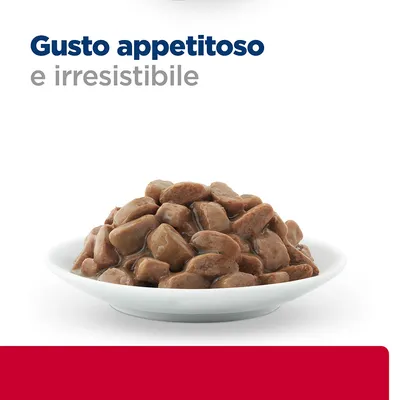 Ciotola bianca con bocconcini di cibo umido marrone. Testo visibile: Gusto appetitoso e irresistibile.