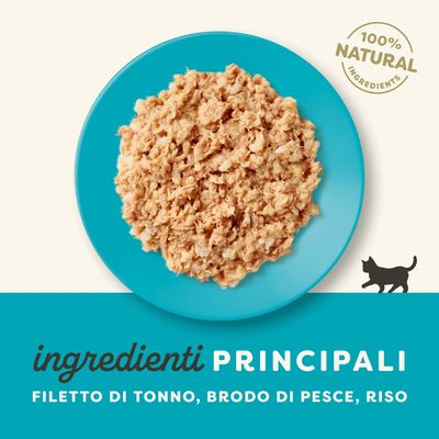 Applaws Natural Kitten in brodo 12 x 50 g