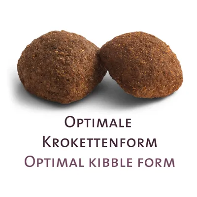 Dvě hnědé granule s nápisem 'Optimale Krokettenform' a 'Optimal kibble form'.
