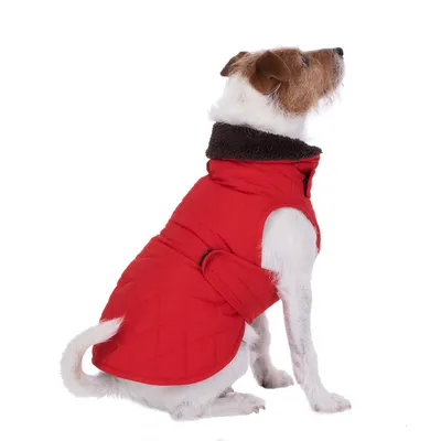 Perro con chaqueta acolchada roja, cuello marrón y cierre lateral de velcro. El producto muestra el ajuste y diseño de la chaqueta. Perro con chaqueta acolchada roja, cuello marrón y cierre lateral de velcro. El producto muestra el ajuste y diseño de la chaqueta.