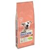 PURINA Dog Chow Adult Sensitive, łosoś 2 x 14 kg
