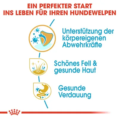 Ein perfekter Start ins Leben für Ihren Hundewelpen: Unterstützung der körpereigenen Abwehrkräfte, schönes Fell und gesunde Haut, gesunde Verdauung.