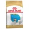 Royal Canin French Bulldog Puppy - Hondenvoer 3 kg