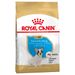 Royal Canin French Bulldog Puppy 2 x 10 kg