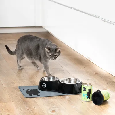 Grey cat next to Cosma cat food tin, black bowl set with stainless steel dishes and matching mat with cat motif.