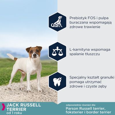 Jack Russell Terrier od 1 roku. Prebiotyk FOS i pulpa buraczana wspomagają trawienie, L-karnityna spalanie tłuszczu, specjalny kształt granulki pomaga utrzymać zdrowe zęby.