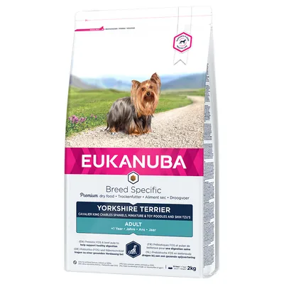 EUKANUBA Breed Specific Yorkshire Terrier Adult, karma sucha premium dla psów dorosłych, 2 kg. Widoczny napis: Premium dry food, +1 Year.