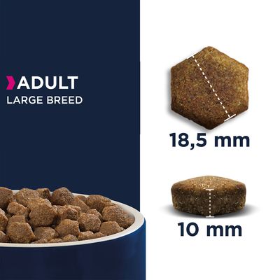Kibble for adult large breed shown in a bowl, with one piece measuring 18.5 mm across and 10 mm thick, highlighting kibble size and shape.