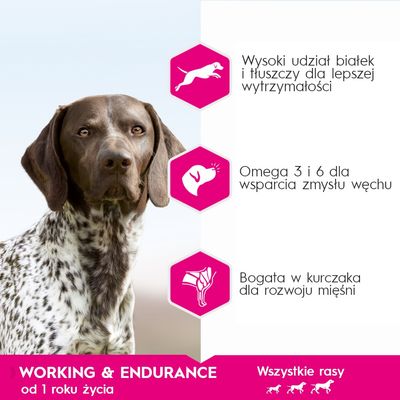 Wysoki udział białek i tłuszczy, omega 3 i 6, bogata w kurczaka. WORKING & ENDURANCE od 1 roku życia, wszystkie rasy. Przeznaczenie: wytrzymałość, zmysł węchu, rozwój mięśni.