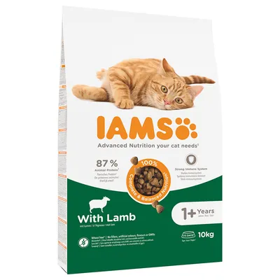 IAMS With Lamb macskaeledel, 87% állati fehérje, 1+ év, búzamentes, 10 kg. Látható: narancssárga cica, márkanév, táp szemcsék, angol nyelvű információk a csomagoláson.