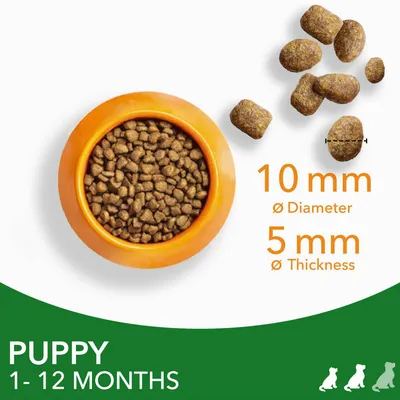 Kibble size guide for puppies aged 1 to 12 months, showing kibble pieces with 10 mm diameter and 5 mm thickness.