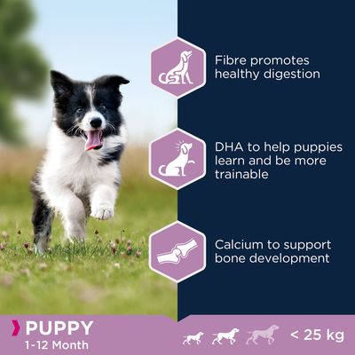 Fibre promotes healthy digestion, DHA aids learning and trainability, calcium supports bone development. For puppies aged 1-12 months, under 25 kg.