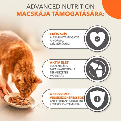 ADVANCED NUTRITION MACSKÁJA TÁMOGATÁSÁRA: ERŐS SZÍV, AKTÍV ÉLET, A SZERVEZET VÉDEKEZŐKÉPESSÉGE. Macska tálból eszik, kéz tartja a tálat.