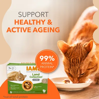 Text: SUPPORT HEALTHY & ACTIVE AGEING, 99% ANIMAL PROTEIN*. IAMS Land Collection in Jelly för katter 7+ år. Förpackning med smaker: lamm & lever, nötkött & morötter, kyckling. *av total protein.