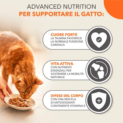 Advanced Nutrition per supportare il gatto: cuore forte, vita attiva, difese del corpo. Cuore forte: la taurina favorisce la normale funzione cardiaca. Vita attiva: nutrienti essenziali. Difese: antiossidanti con vitamina E.