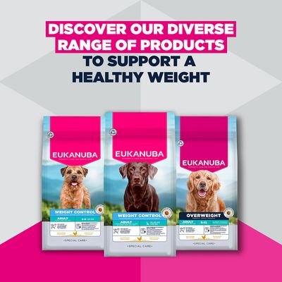 Eukanuba Special Care Weight Control Adult Small/Medium