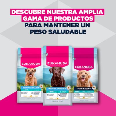 Eukanuba Special Care Weight Control Adult Large