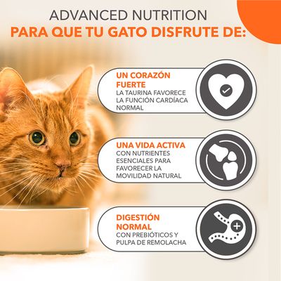 Texto: Advanced Nutrition para que tu gato disfrute de un corazón fuerte, una vida activa y digestión normal. Beneficios: taurina, nutrientes esenciales, prebióticos y pulpa de remolacha.