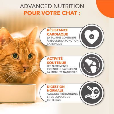 Texte en image : RÉSISTANCE CARDIAQUE, la taurine contribue à réguler la fonction cardiaque ; ACTIVITÉ SOUTENUE, les nutriments essentiels favorisent la mobilité naturelle ; DIGESTION NORMALE, avec des prébiotiques et de la pulpe de betterave.