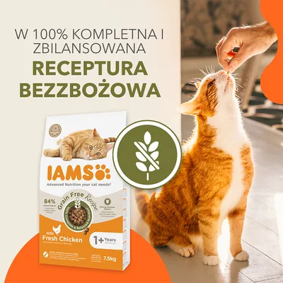 IAMS karma dla kota, 7,5 kg, z kurczakiem, bezzbożowa. Tekst: W 100% kompletna i zbilansowana receptura bezzbożowa. Symbol przekreślonego kłosa.