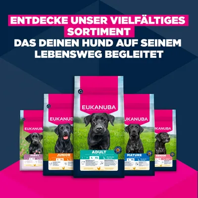 Eukanuba Premium Nutrition Junior Large & Giant s kuřecím - 15 kg