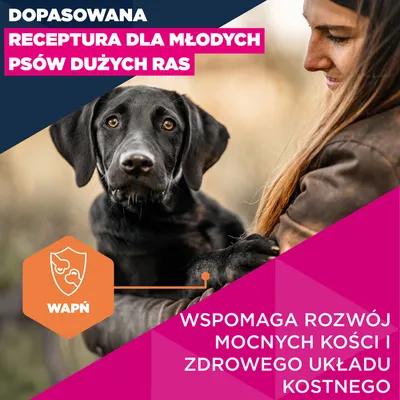 Eukanuba Premium Nutrition Junior Large & Giant Breed, kurczak - 2 x 15 kg