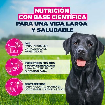 Eukanuba Premium Nutrition Junior Large & Giant Breed pollo - 15 kg