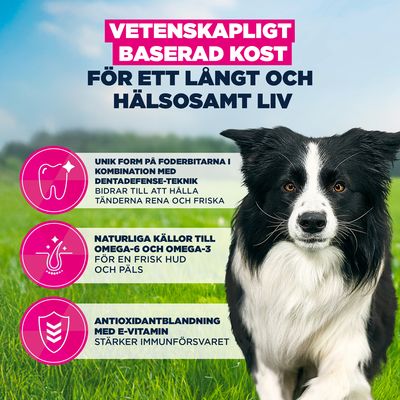 100 g Eukanuba Premium Nutrition Adult Medium Breed kyckling på köpet!