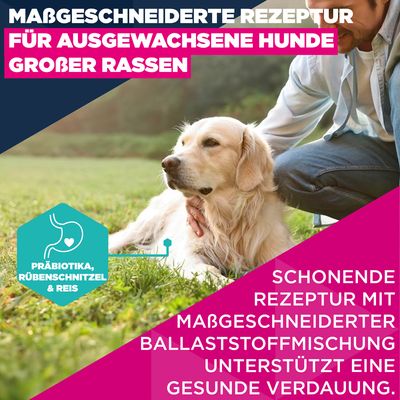 Eukanuba Premium Nutrition Adult Large & Giant Breed Lamm & Reis - Sparpaket: 2 x 12 kg