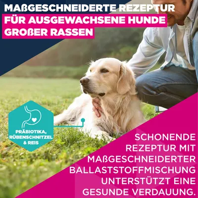 Eukanuba Premium Nutrition Adult Large & Giant Breed Lamm & Reis - 12 kg