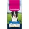 Eukanuba Premium Nutrition Mature Medium Breed Huhn 15 kg