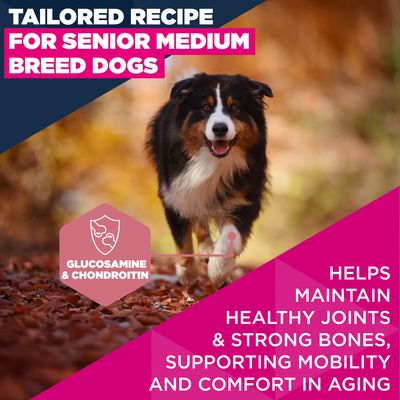 Eukanuba Premium Nutrition Senior Medium Breed kana - 15 kg