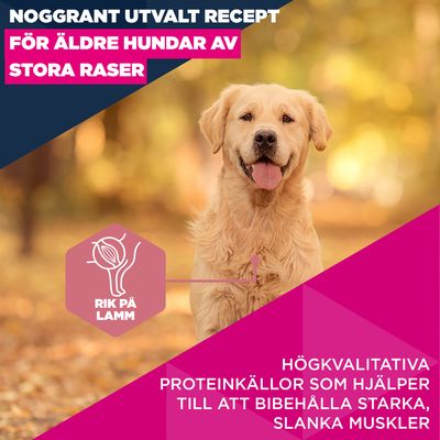 Eukanuba Premium Nutrition Senior Large & Giant Breed Lamb & Rice