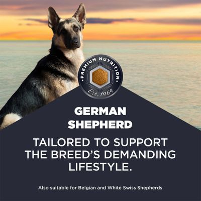 Eukanuba Adult Breed Care Specific German Shepherd