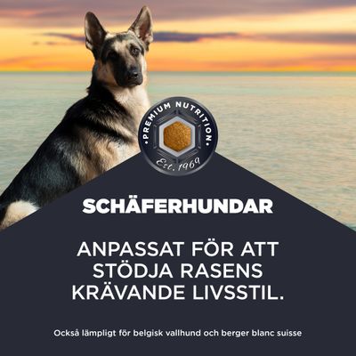 Schäferhundar. Anpassat för att stödja rasens krävande livsstil. Passar även för belgisk vallhund och berger blanc suisse. Premium Nutrition Est. 1969.
