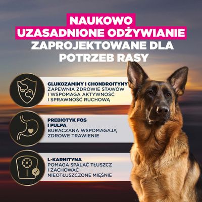 Opis produktu z glukozaminą, chondroityną dla zdrowych stawów, FOS i wysłodkami buraczanymi dla trawienia, L-karnityną wspomagającą spalanie tłuszczu oraz utrzymanie masy mięśniowej.