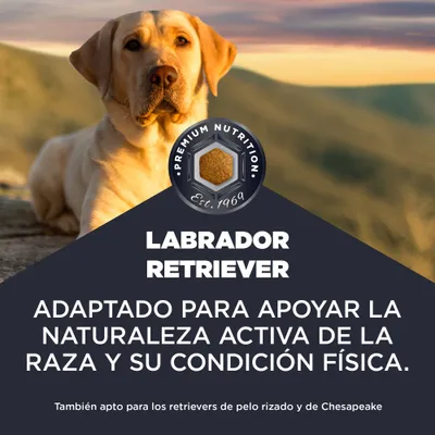 Premium Nutrition Est. 1969. Labrador Retriever. Adaptado para apoyar la naturaleza activa y la condición física de la raza. También adecuado para Curly y Chesapeake Retriever.