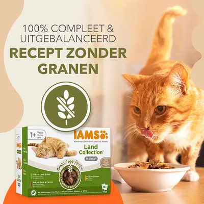 IAMS Advanced Nutrition Grain Free Land Collection in Saus - Voordeelpakket: 48 x 85 g