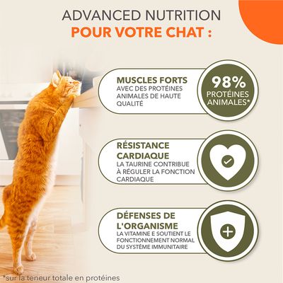 IAMS Advanced Nutrition Grain Free Land Collection en sauce pour chat
