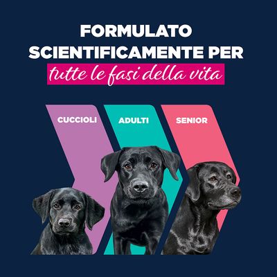 Eukanuba Puppy Ricco di Agnello con Patate