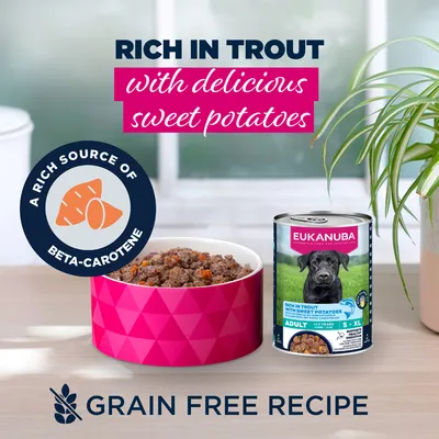 Eukanuba Adult Rich in Trout with Sweet Potatoes - dog wet food Eukanuba Adult Rich in Trout with Sweet Potatoes - dog wet food