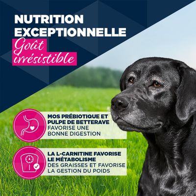 Eukanuba Senior riche en truite avec patate douce