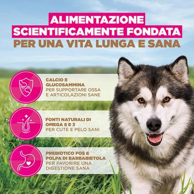 Eukanuba Grain Free Adult Large & Giant Breed Pesce Oceanico - 2 x 12 kg
