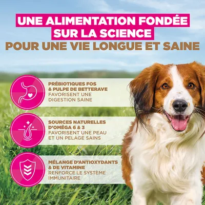 Eukanuba Grain Free Adult Small & Medium Agneau - 12 kg