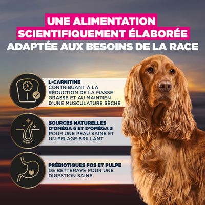 L-Carnitine pour réduire la masse grasse, oméga-6 et oméga-3 naturels pour la peau et le pelage, FOS prébiotiques et pulpe de betterave pour une digestion saine. Alimentation développée scientifiquement.