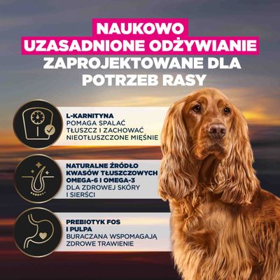 L-karnityna pomaga spalać tłuszcz i utrzymać mięśnie, omega-6 i omega-3 wspierają zdrową skórę i sierść, wysłodki buraczane wspomagają trawienie.