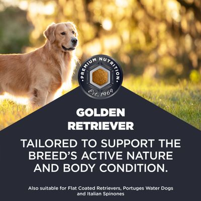 Premium nutrition for Golden Retrievers, tailored to their active nature and body condition. Also suitable for Flat Coated Retrievers, Portuguese Water Dogs, and Italian Spinones.