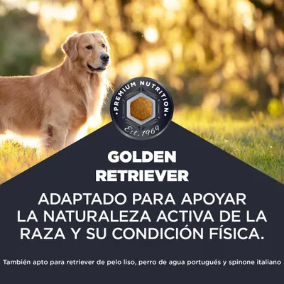 Premium Nutrition Est. 1969. Golden Retriever. Adaptado para apoyar la naturaleza activa y la condición de la raza. También adecuado para Flat Coated Retriever, Perro de Agua Portugués, Spinone Italiano.