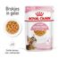 Royal Canin FHN Kitten Sterilised in Gelei 12 x 85 g