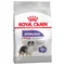 Royal Canin Medium Sterilised - dog dry food 3kg